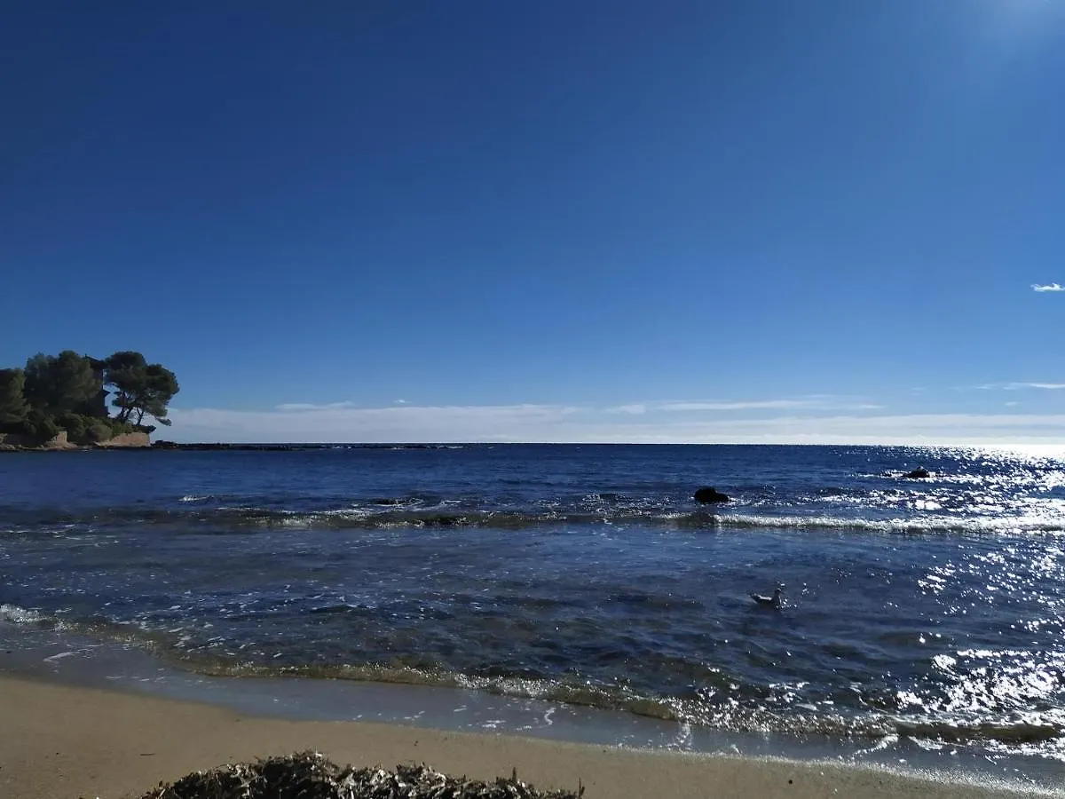 Studio Paradise Entre Mer Et Pins Saint-Raphael  Apartment